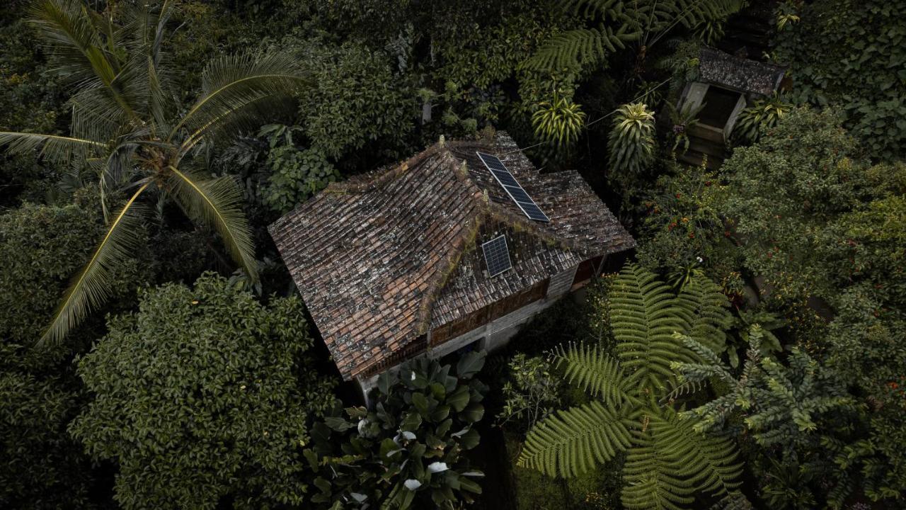 Kebun Kita Eco Lodge Padangan  Eksteriør billede