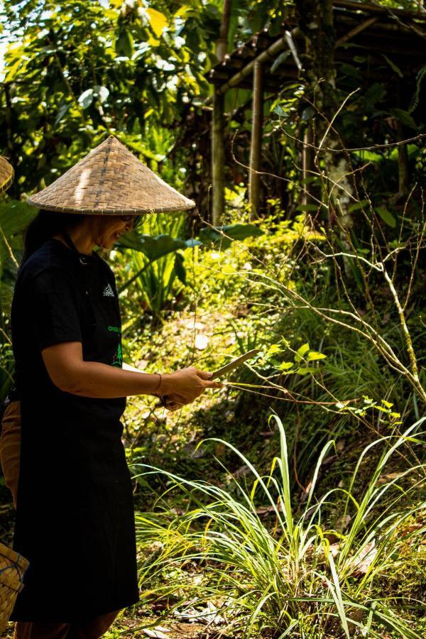 Kebun Kita Eco Lodge Padangan  Eksteriør billede