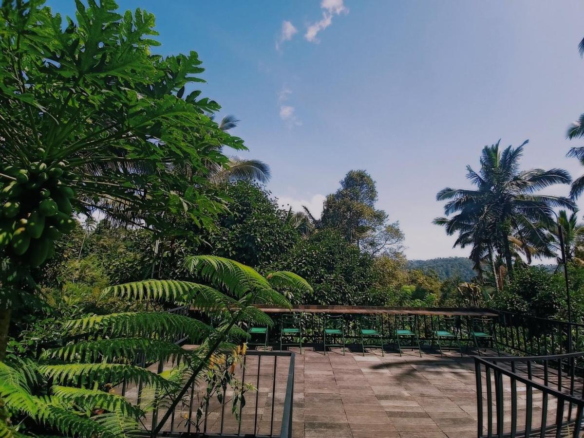 Kebun Kita Eco Lodge Padangan  Eksteriør billede