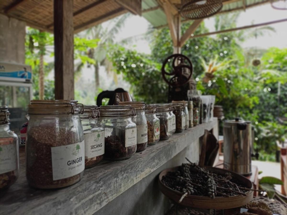 Kebun Kita Eco Lodge Padangan  Eksteriør billede