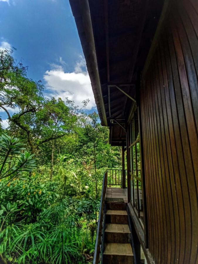 Kebun Kita Eco Lodge Padangan  Eksteriør billede