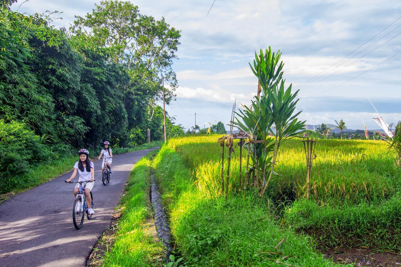 Kebun Kita Eco Lodge Padangan  Eksteriør billede